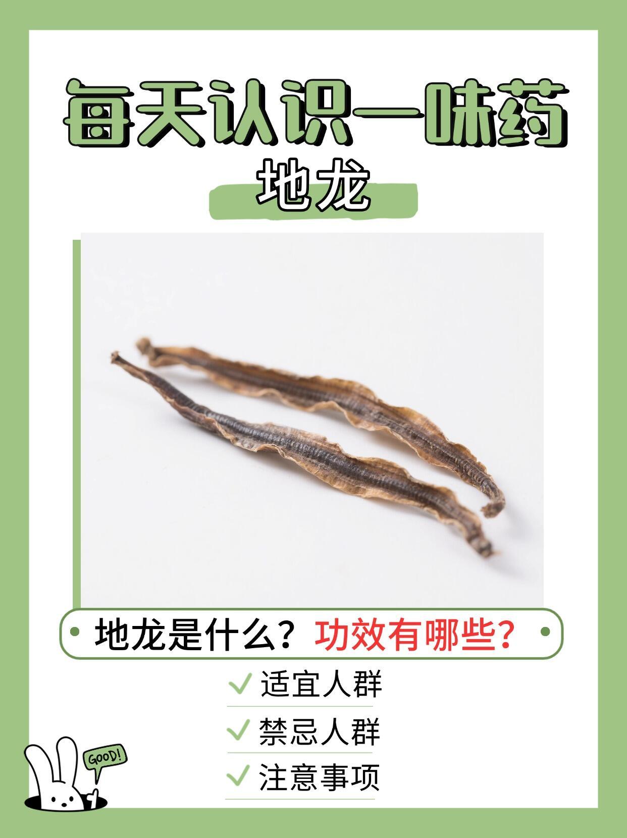 中医中药今天来聊一个听起来有点“可怕”但超神奇的中药材——地龙！😱（先别划走
