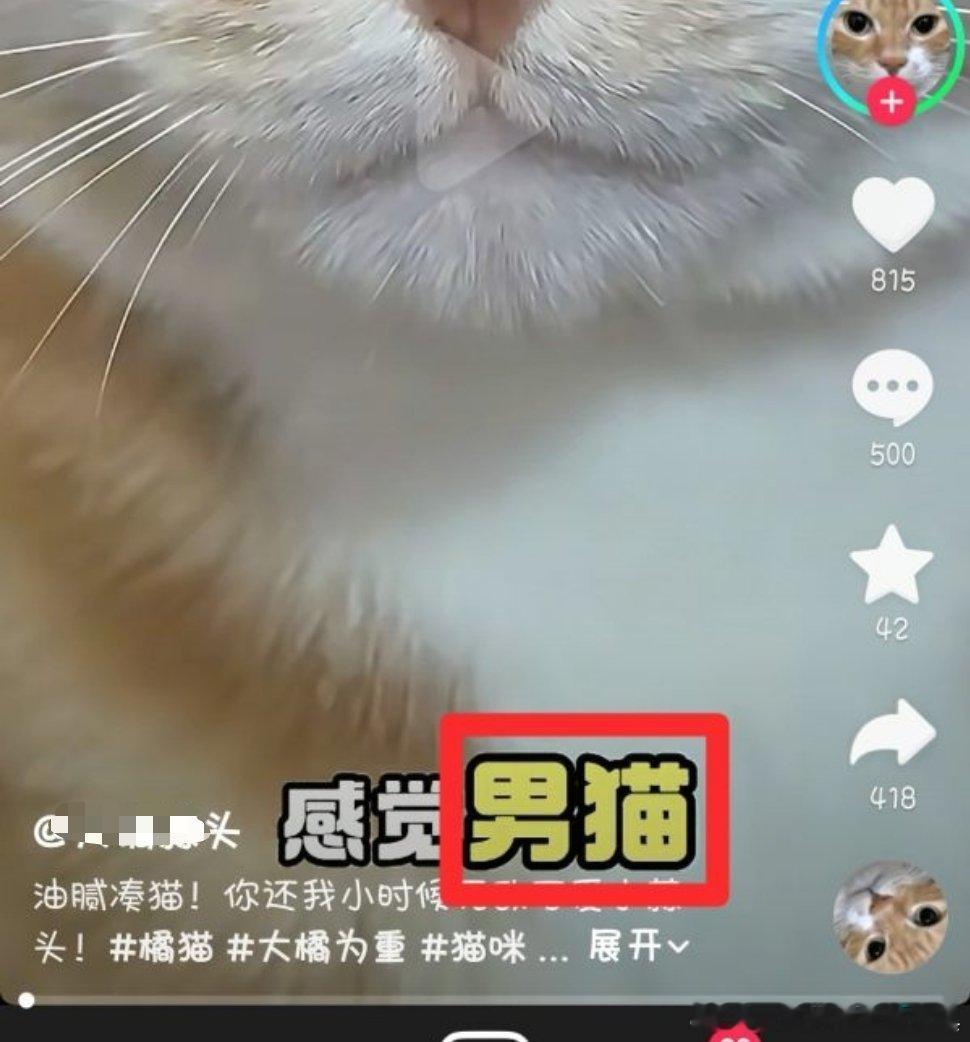 作者只是喊小公猫男猫就触发关键词了