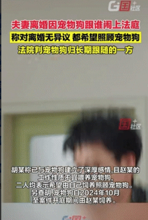 湖南常德，一对夫妻闹离婚，结果不争房子也不争财产，因为争抢宠物狗的抚养权，直接闹