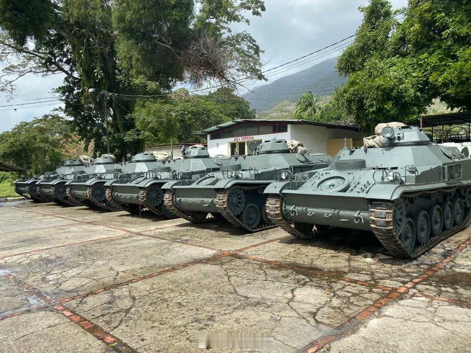 陆军第11装甲旅使用的法国AMX-13VCI装甲运兵车。不仔细看还以为是某种二