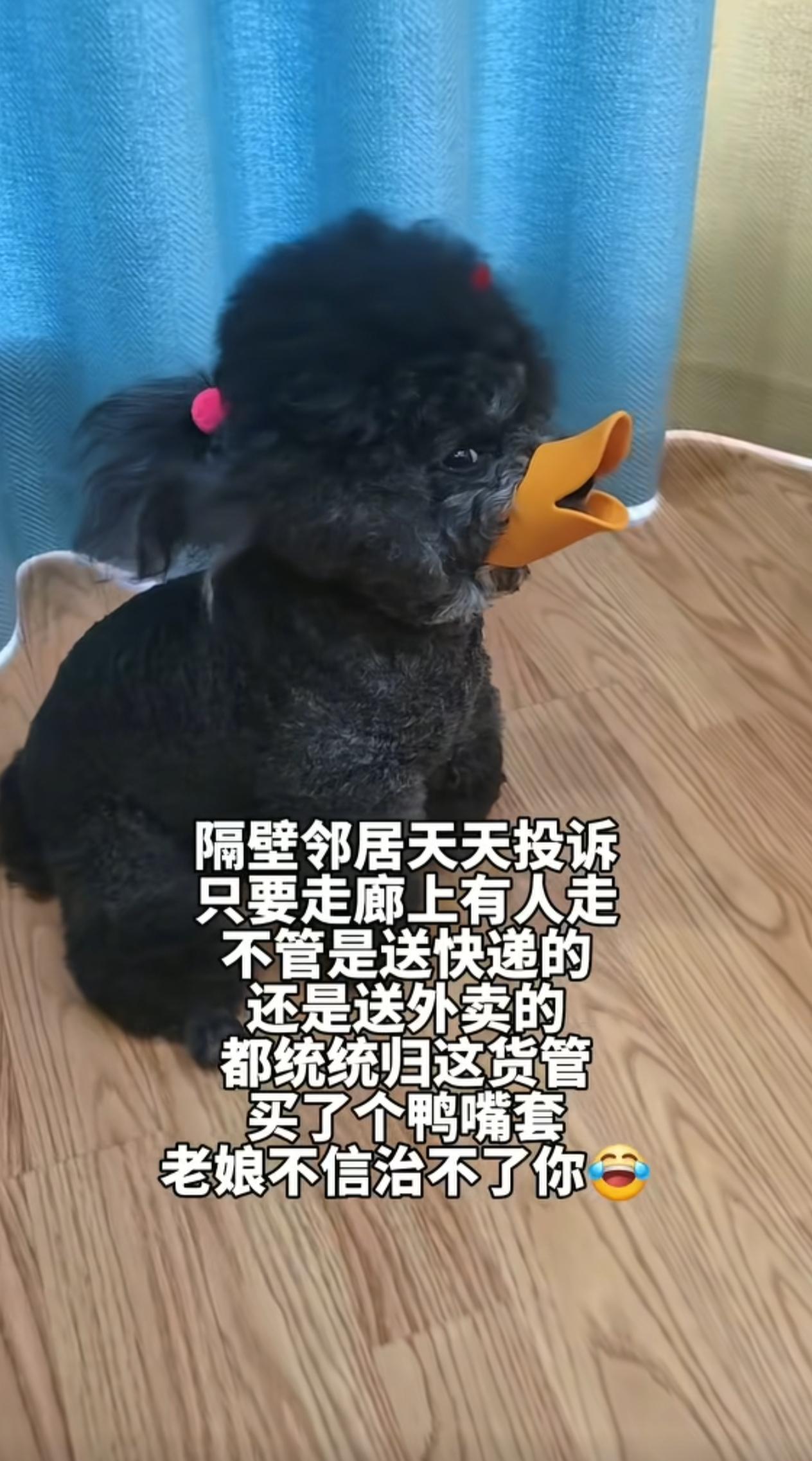 第一张图是“叫你话多！”第二张图题个什么词好呢？两张图搁一块儿是不是叫:“管住