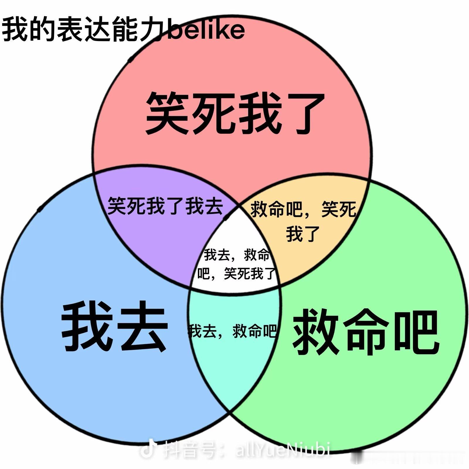 2027我没敷衍，这是我所有语言系统