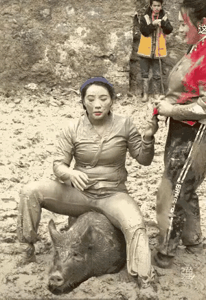 母老虎果然很凶猛啊👍