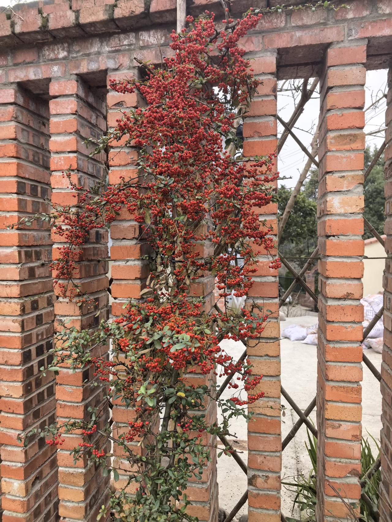 🈶人说鬼👻扯[笑着哭]，哈哈哈哈，就鬼扯，怎么样呢[吐舌头眯眼睛笑]