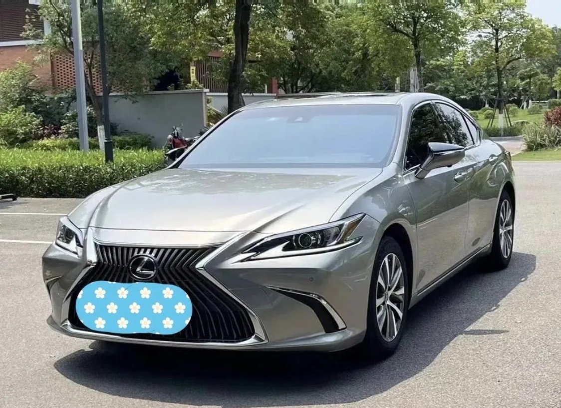我朋友家有一台闲置的雷克萨斯，2019年买的，是ES260卓越版，听说我想买