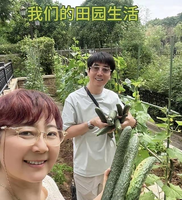 62岁范明居家生活太惬意！独栋别墅带大院，花草果树蔬菜一应俱全，夫妻俩总爱采摘新