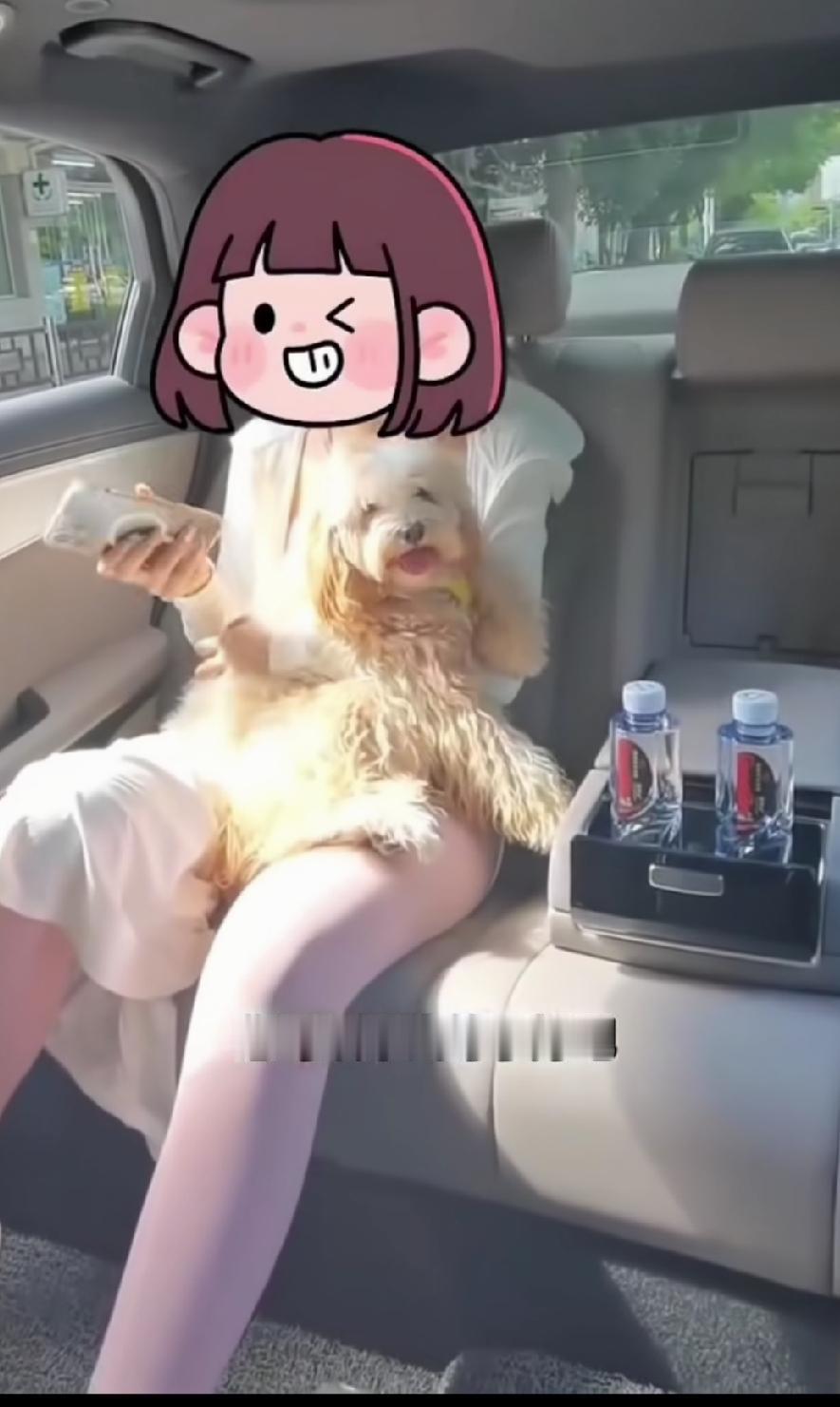 瑜伽裤女生带宠物狗打网约车被拒！司机表示，自己的是专车，不拉宠物，建议女生去打拉