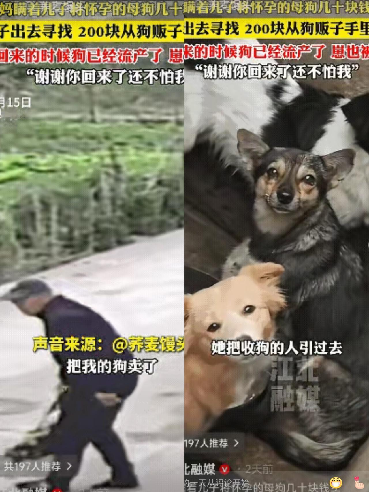 “泪目了！”湖北，一妈妈瞒着儿子卖掉了家里怀孕快生的母狗。儿子知道后，花