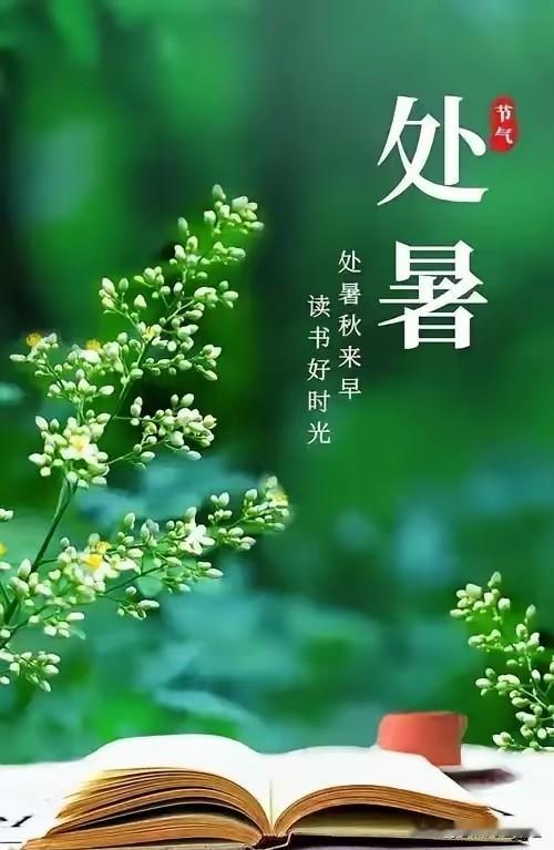 提醒各位明天8月23号了。老话说：处暑天还暑，好似秋老虎；处暑无三日，新凉直万