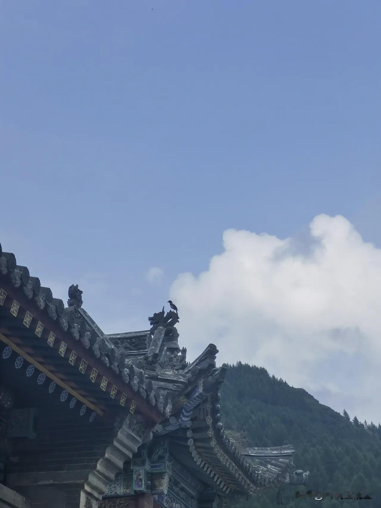 你把什么放在第一位，你的人生就会朝哪里生长。人这一生，命运的走向，很多时