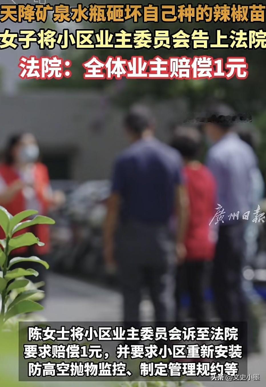 湖北，一位大姐因为一个矿泉水瓶打了一场官司！起因是，大姐家住在某小区旁边，她