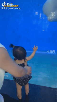 [点赞]山东德州，8月11日，一家长带着女儿去海洋馆看白鲸，出于好奇，女孩紧紧
