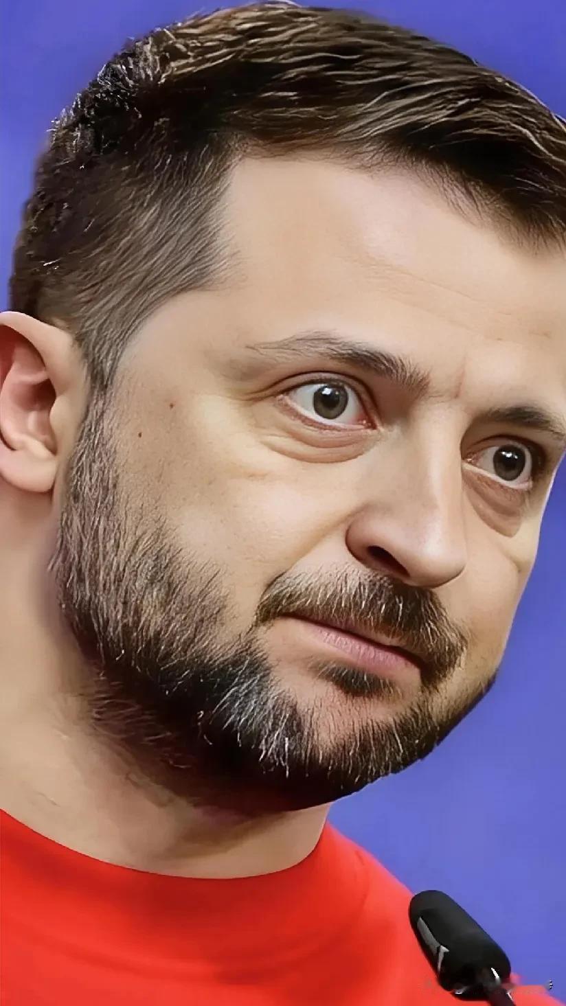 12月5日，德国《明镜》周刊捅破了一层窗户纸。法国总统马克龙、德国总理默茨这些欧