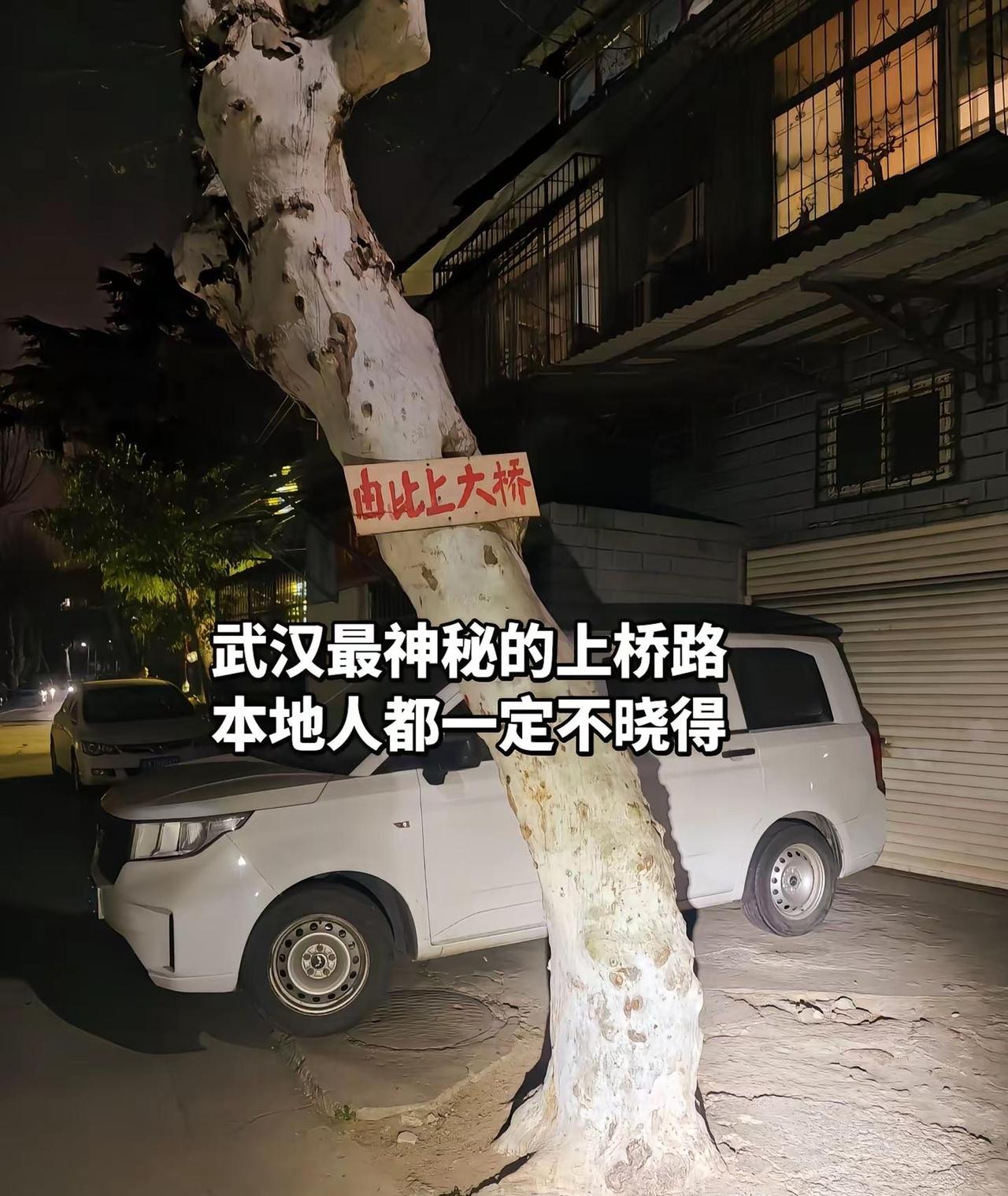 武汉最神秘的上桥路本地人都一定不晓得初级狭，才通人，复行数十步，豁然开朗武汉老