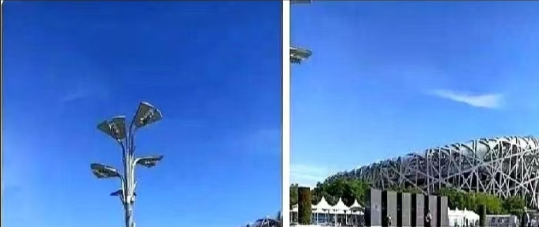 兴奋、激动、骄傲！中华人民共和国后继有人了！四大才子涌现出来了，他们分别是韦东奕