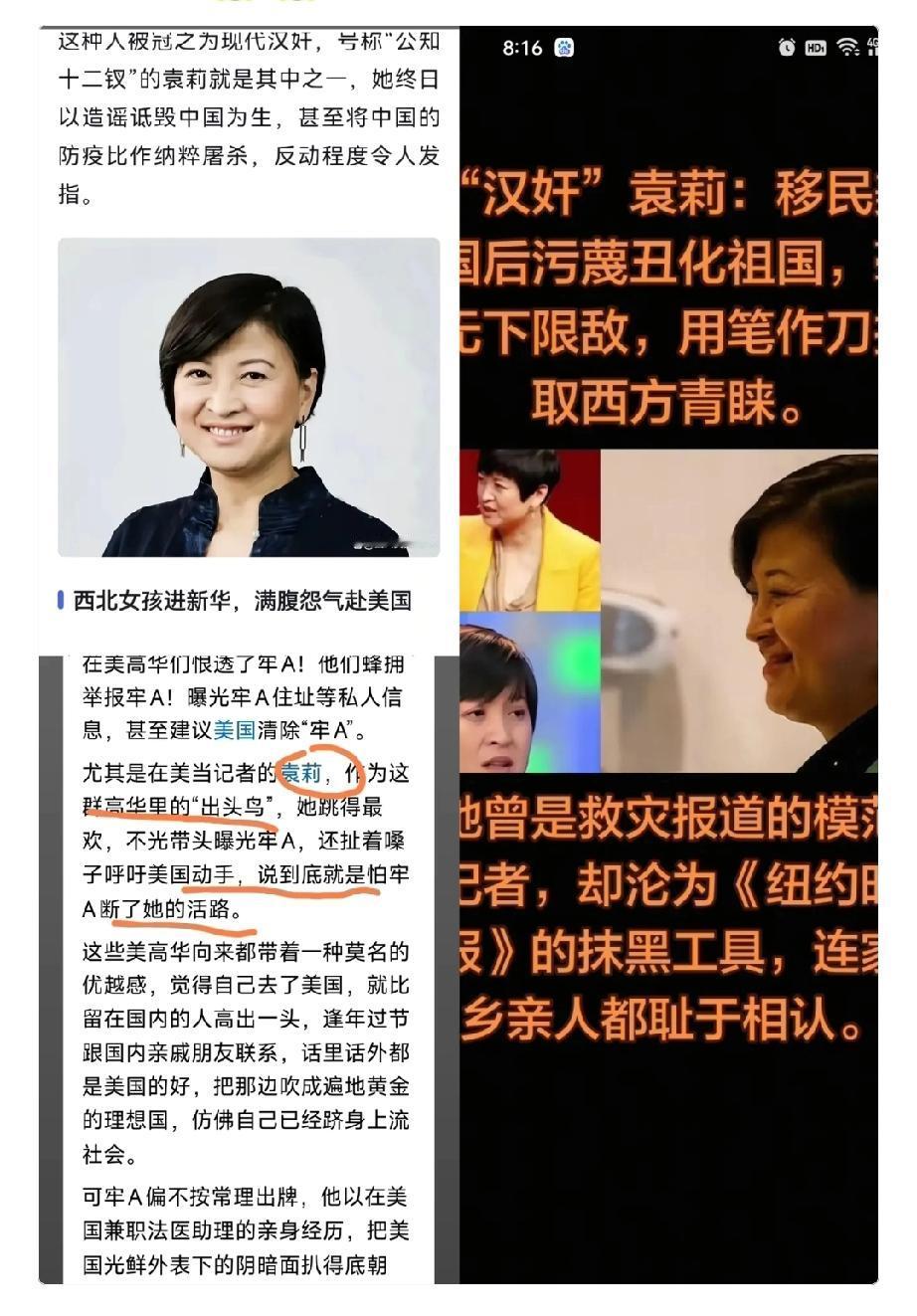 大家最近刷到没，《纽约时报》的大记者袁莉，居然会对一个普通留学生下这种死手