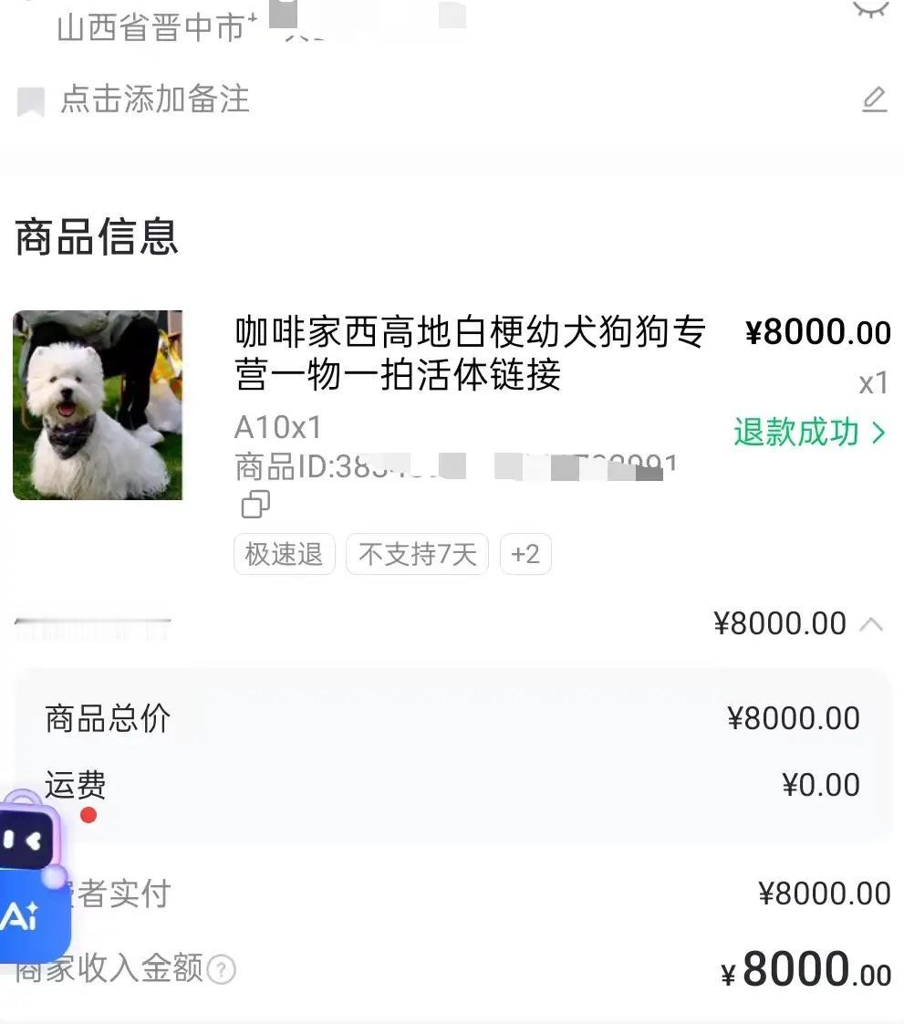 山东，一宠物店老板在线上卖了一只8000元的西高地犬，买家养了6天后，说狗感冒了