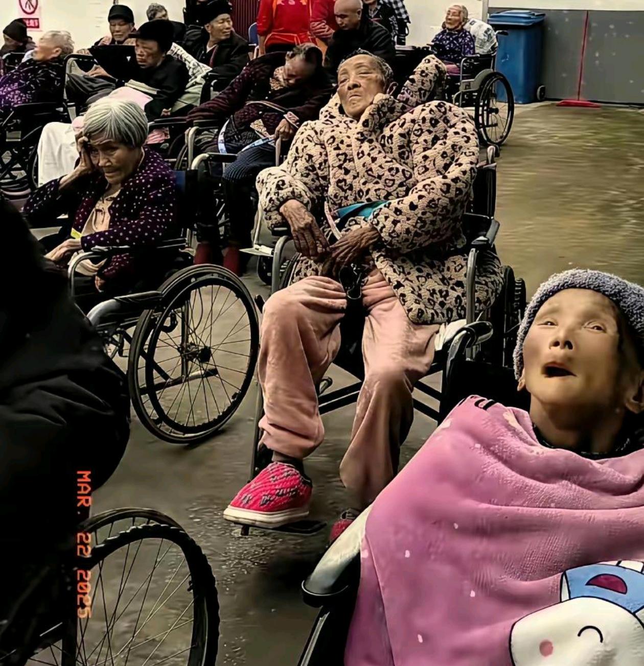 我们老了是不是也这样，都不敢想。