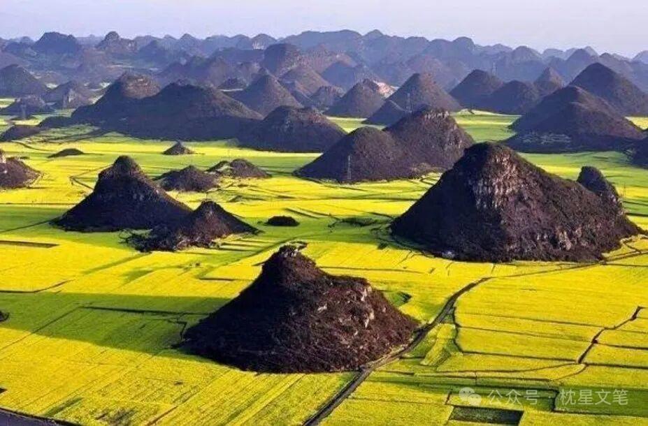 能保存20年以上的10种食物1、蜂蜜不过期。2、食盐不过期。3、白糖不过