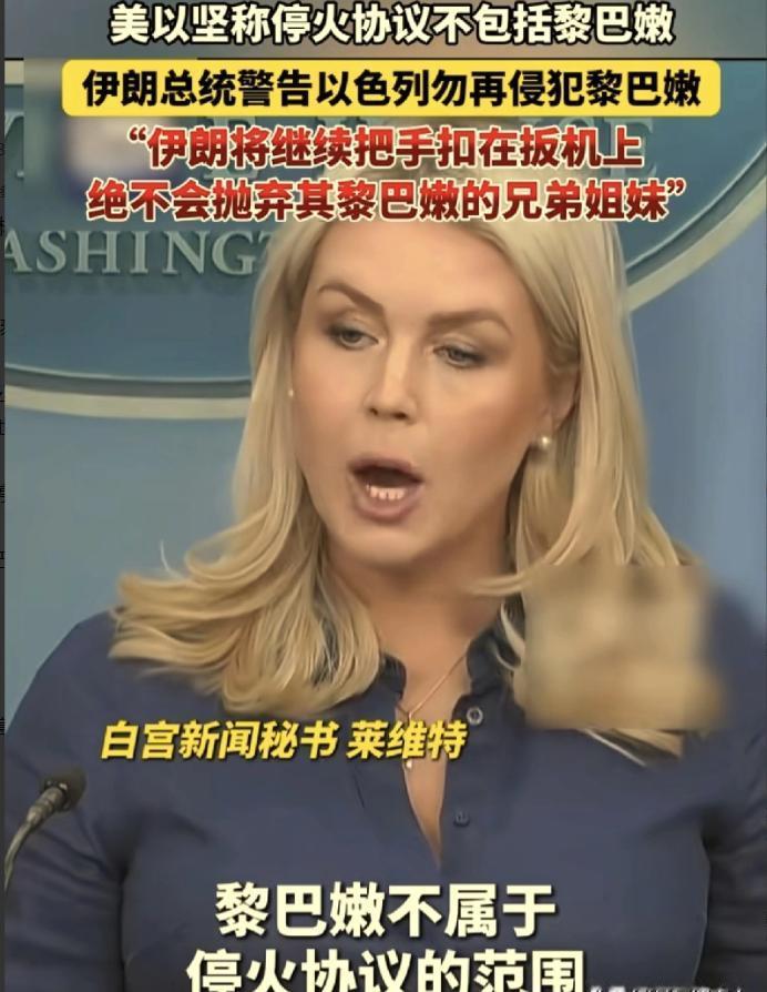 特朗普，万斯，卡罗琳，内塔尼亚胡，这4个人都在撒谎。巴基斯坦总理谢里夫，拿出