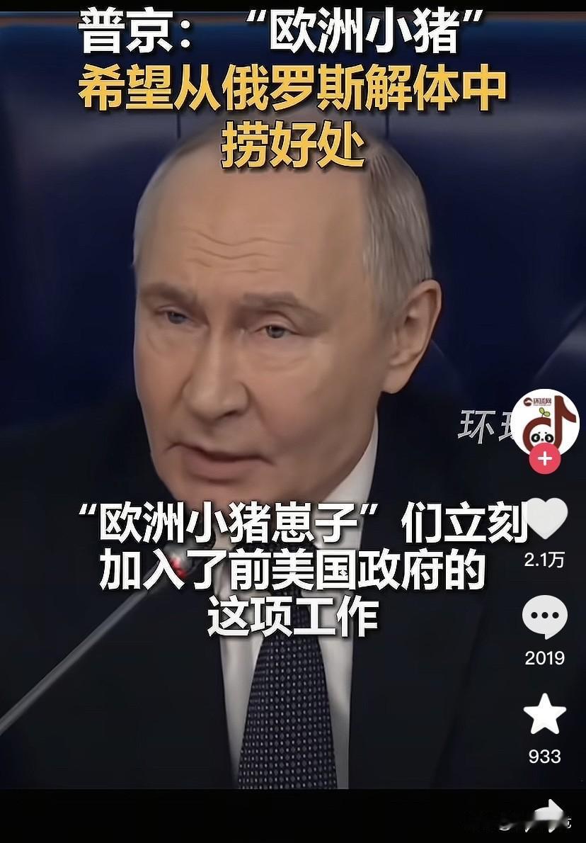 欧洲提议组建多国部队支持乌克兰美国撤了，欧洲这帮大冤种既当爹又当妈了，俄乌战争升