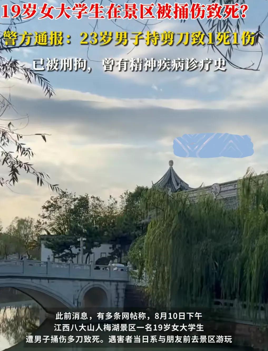 人在景区玩，飞来横祸！网传2025年8月10日下午，江西南昌青云谱八大山人梅湖
