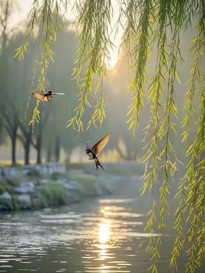 上联：燕剪一湖水，下联：鸭戏半池春，下联：风载万缕丝。