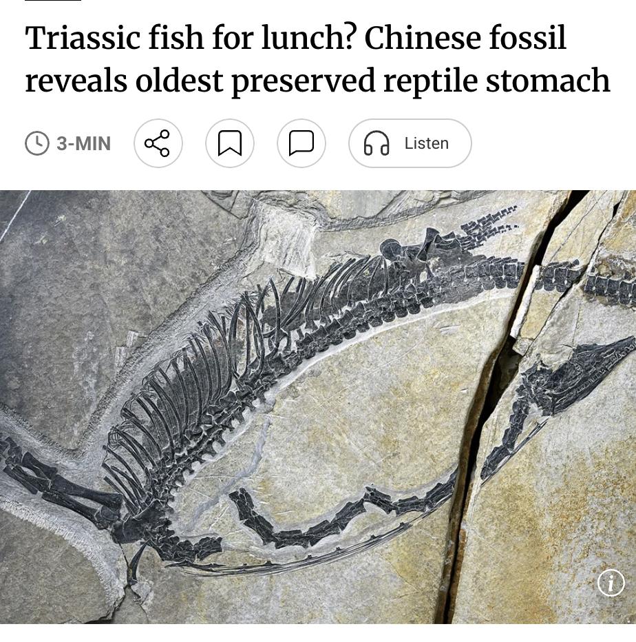 外媒：由中国科学家主导的研究团队，对一件距今约2.4亿年的化石标本进行了分析，发