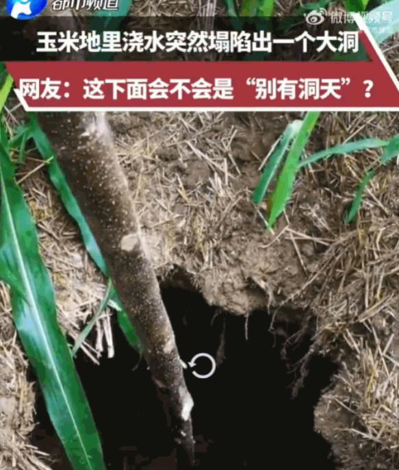 科学都解释不清了？河南，一男子在玉米地里浇水，一脚踩下去，原本结实的泥土竟然瞬间