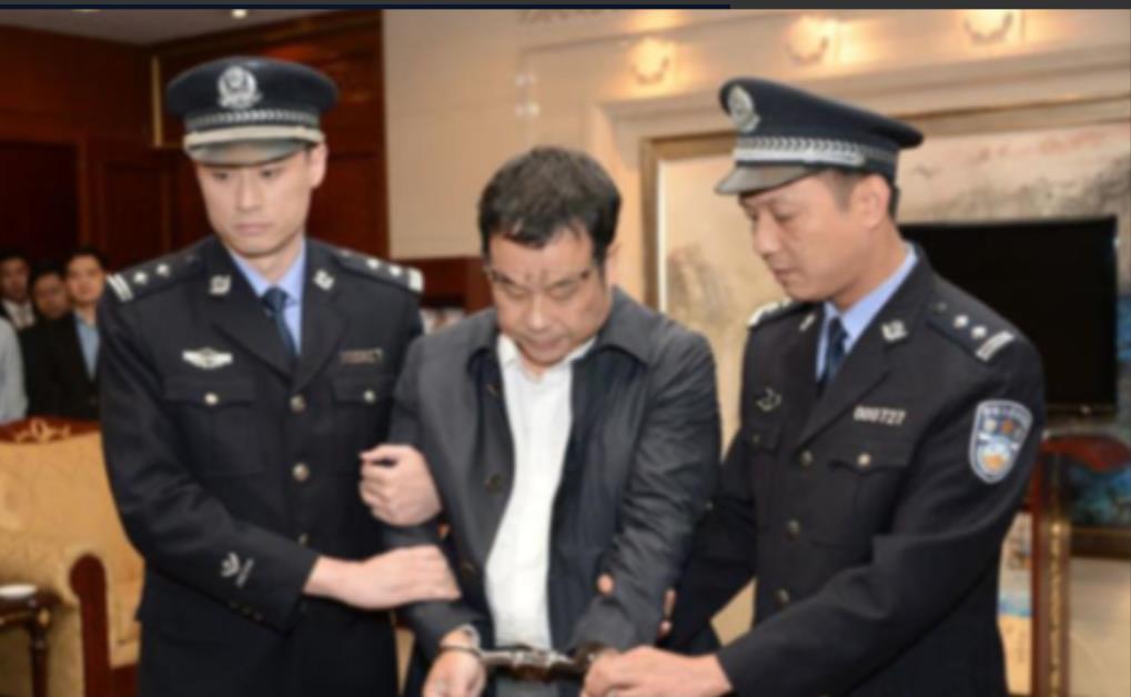 中国稀土机密遭泄！中国稀土还“希罕”吗？副总经理叛国被判重刑，网友怒了：内奸何时