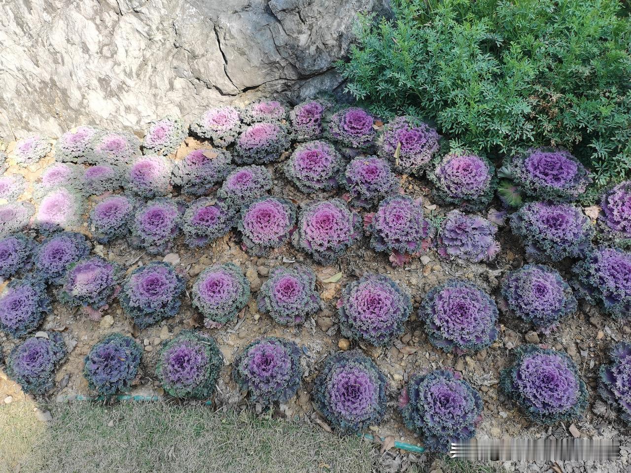 同事说，她妈妈重男轻女，小时候家里有好吃的都先让弟弟吃，弟弟吃不完了才她们的份。