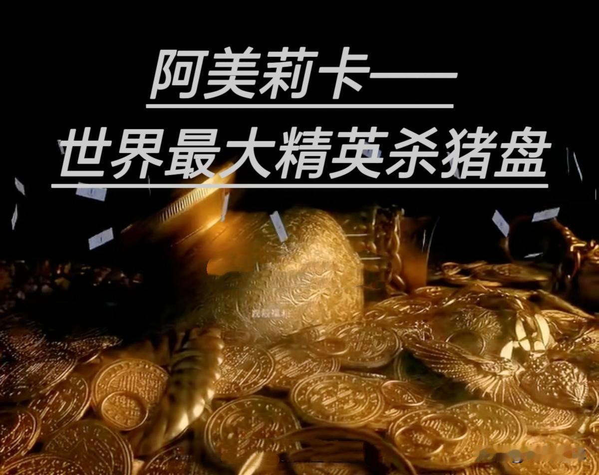 可以毫不夸张地说，美国就是这个世界上最大的精英杀猪盘。就算你是中国最富有的富豪，