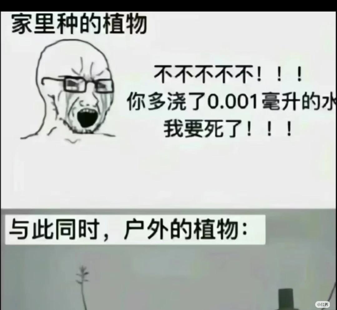 梗图梗图有点离谱但又合理此图有梗搞笑幽默