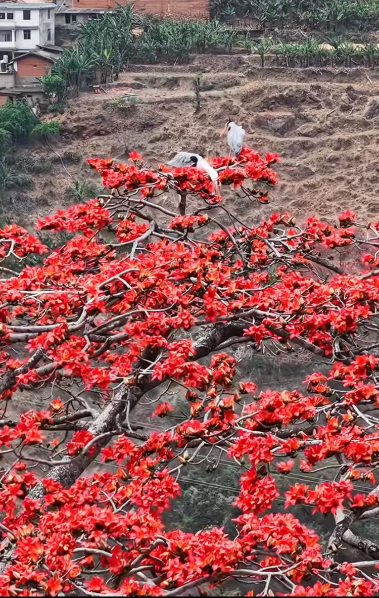 释永信让大家对佛教纯洁度产生怀疑。其实道教作为本土宗教，也出现了很多问题。我朋