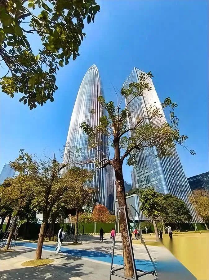 深圳最惨的不是穷。是连“家”都没地方放。那些熬到三十+的单身人，早把“家