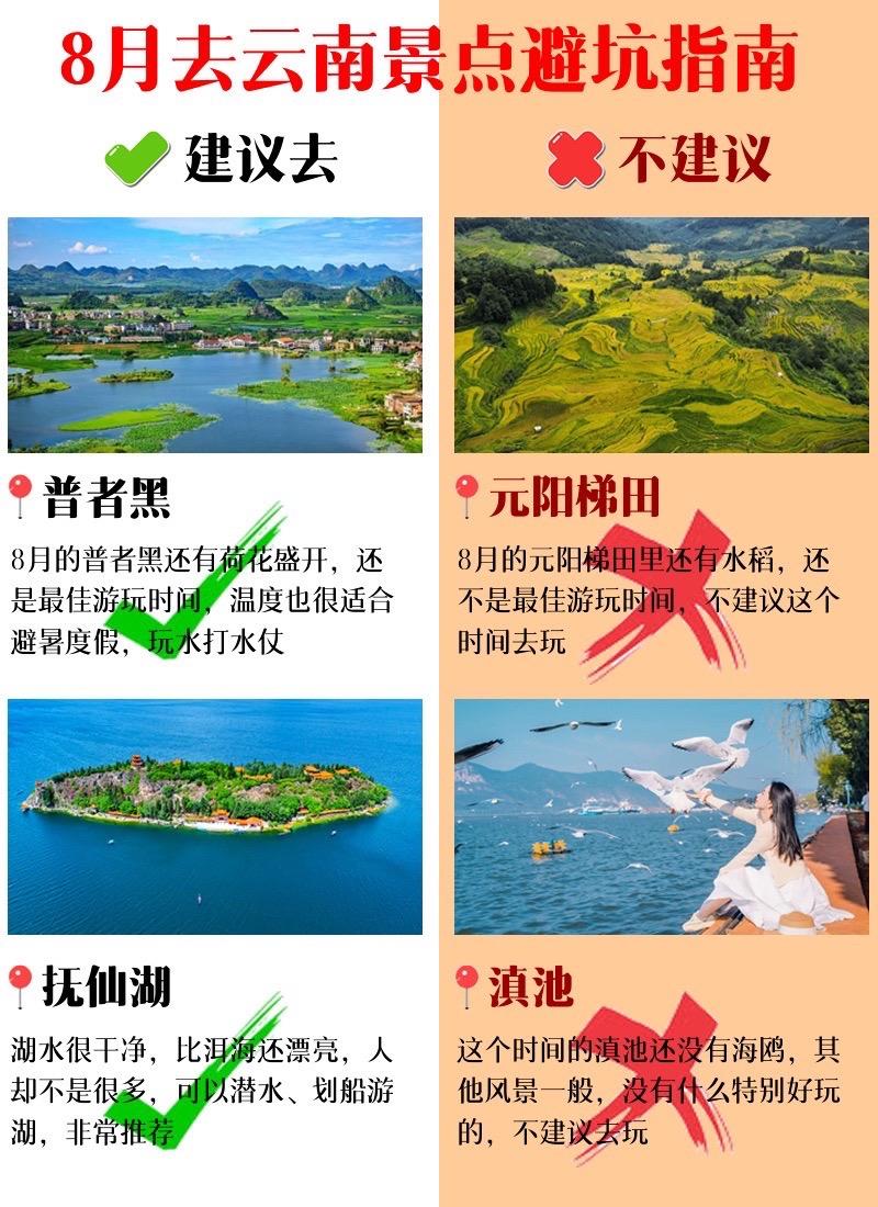 8月去云南景点避坑指南。