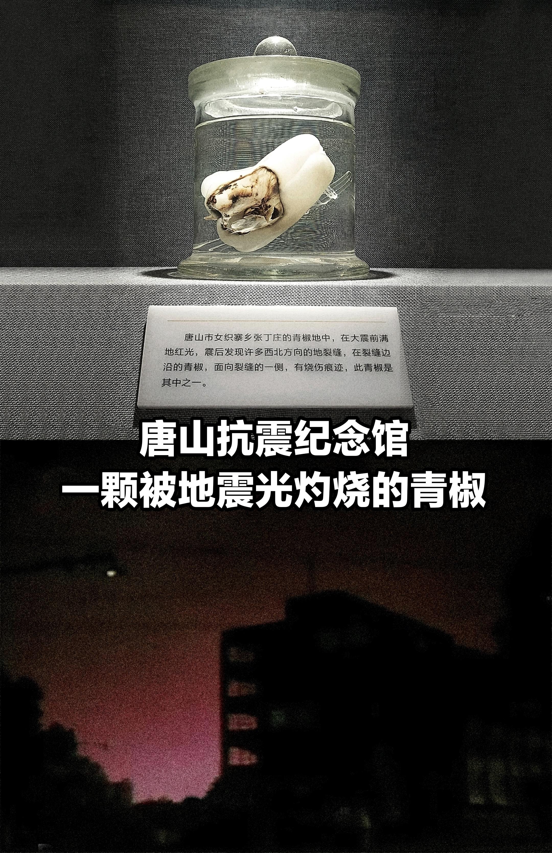 一颗被地震光烧伤的青椒，唐山抗震纪念馆。