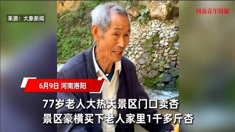 太有格局了！”河南，77岁老人大热天顶着近40度的炎热，天天到景区门口卖杏，这一