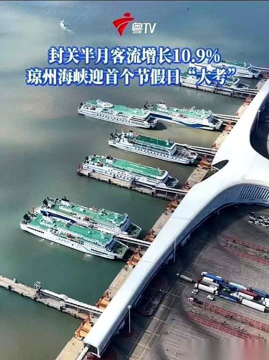 海南封关这事儿，第一个假期就炸了。一个从杭州来的哥们儿，叫阿彬，一落地就冲进免