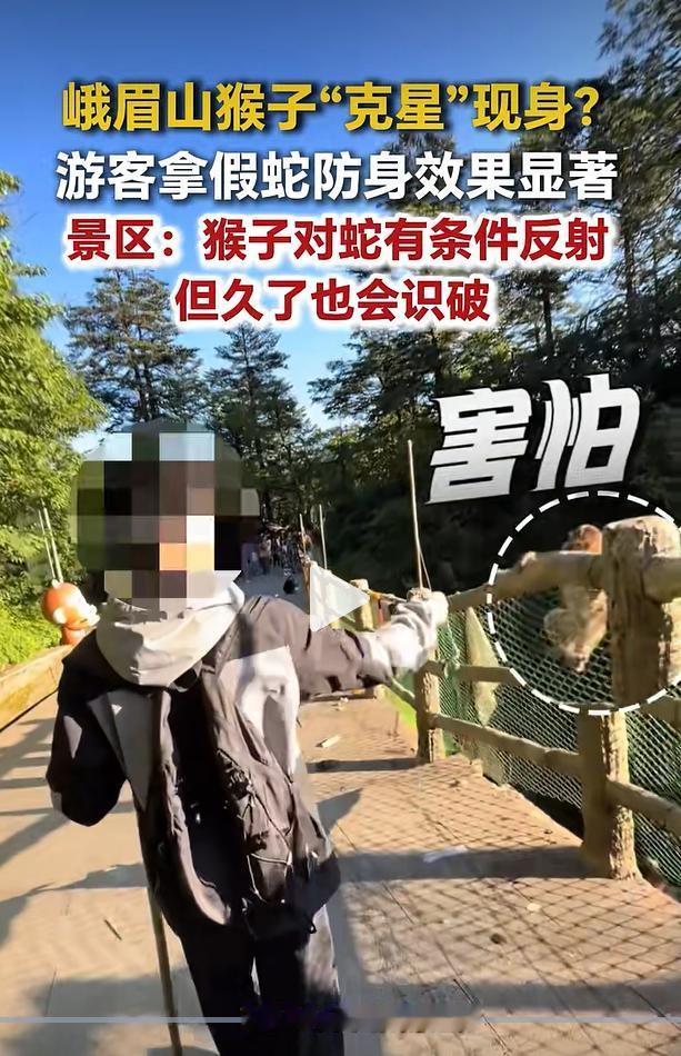 四川乐山峨眉山景区近期流传一段游客自制道具避猴的视频，不少进山游玩的群众随身携带