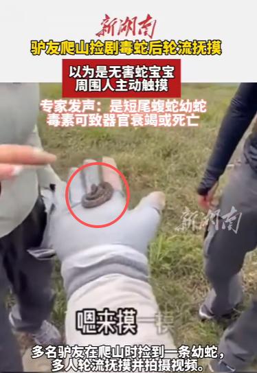“命真大啊！”10月10日，北京，一男子爬山时捡到一条可爱的“蛇宝宝”，他捧在手