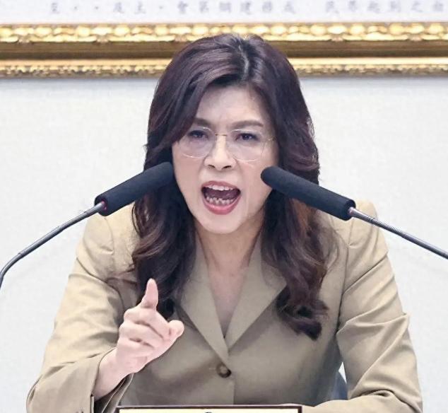蓝营2028这盘棋，真正输不起的只有一个人！蒋万安稳坐台北，韩国瑜手握立法机构，