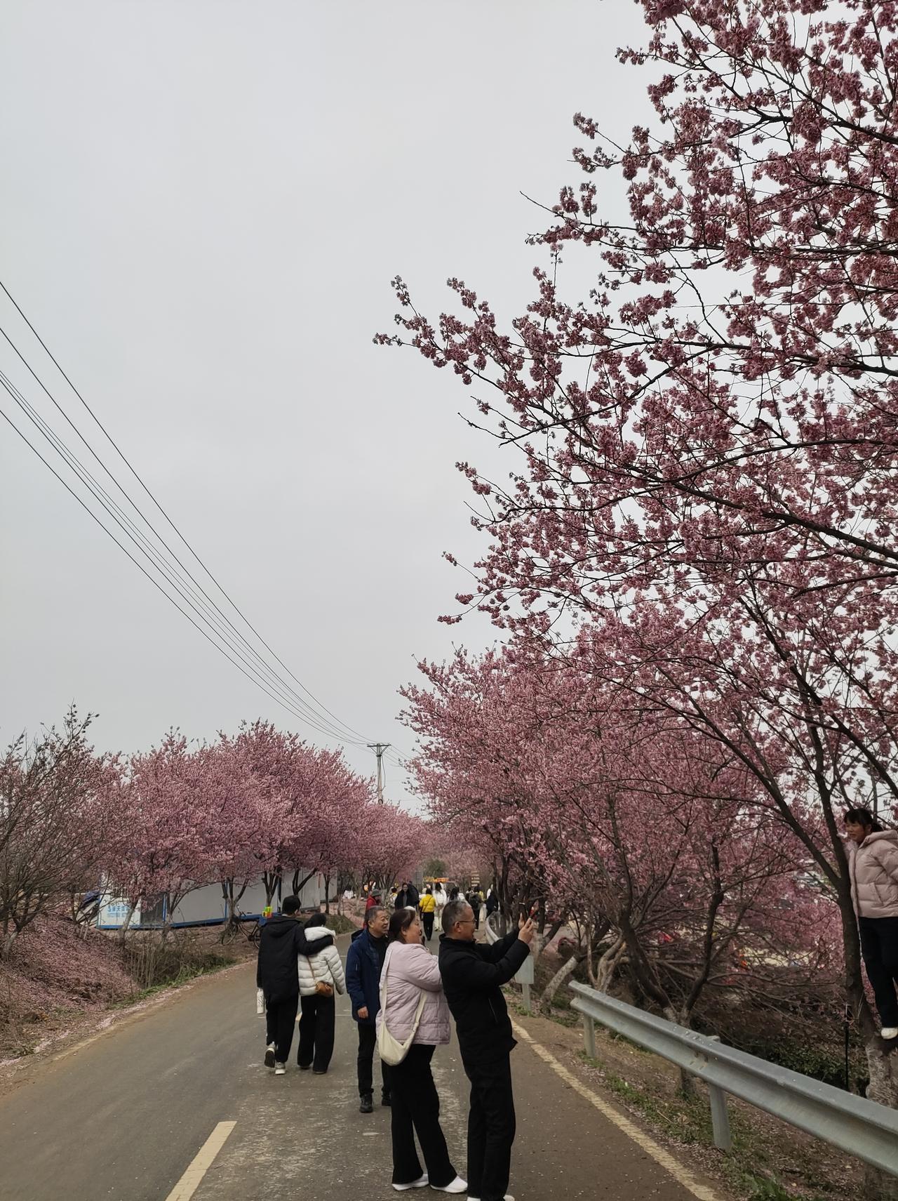 旅游出现新现象，太会玩了，自驾游，帐篷一搭、泡面一泡，啥都省了游客们纷纷自带泡