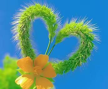 好人必须选择坚强，因为好人总败给坏人，因为好人总受坏人的欺负。如果不选择坚