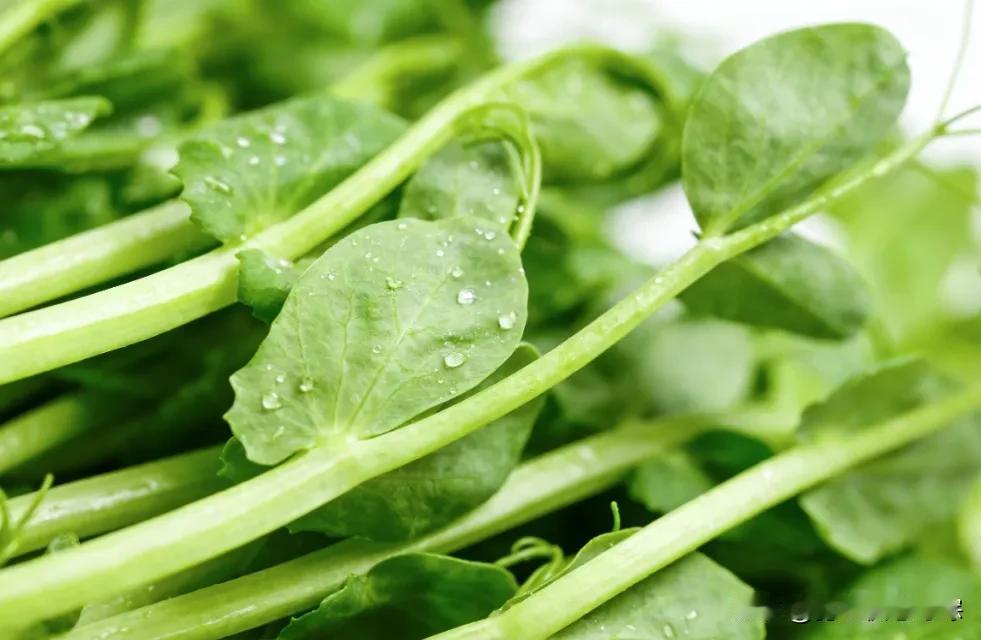 2月抓紧吃这菜！一清肝二排毒三降火四强筋骨，应季而食少生病进入2月，冬春交