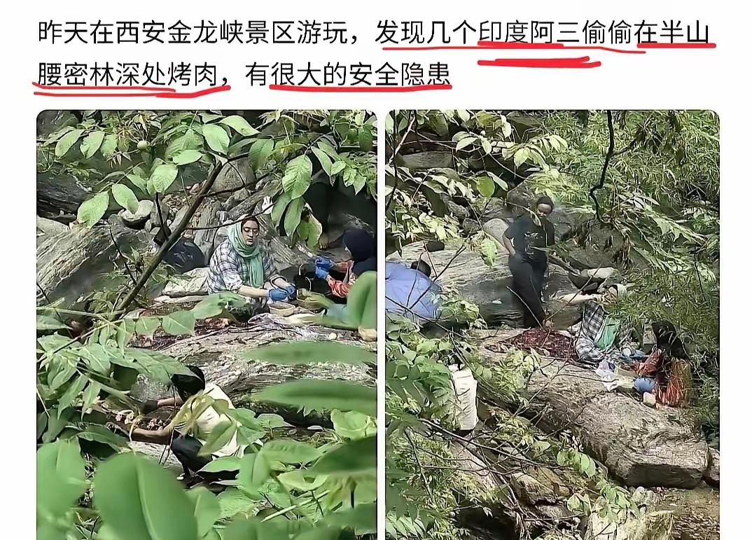 胆大包天！几名印度籍游客躲进西安金龙峡半山腰的密林深处，偷偷生起明火烤肉，专挑枝