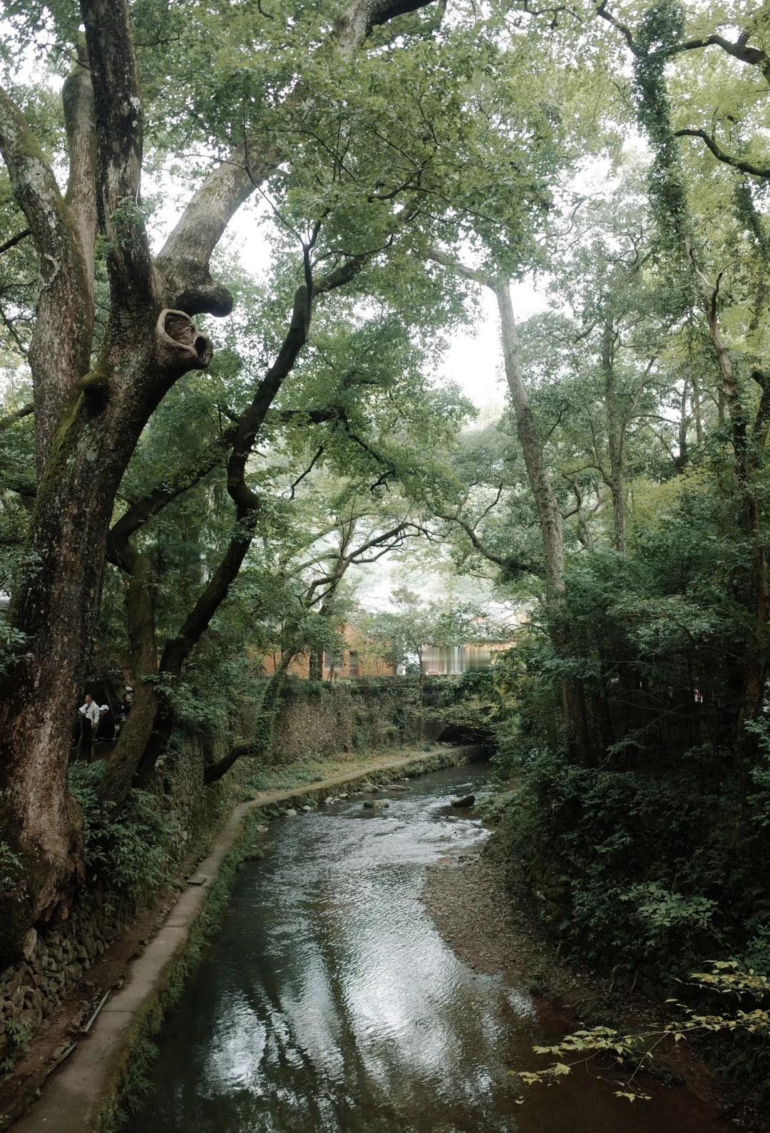 13km霞客古道的初秋🍂|上海单日往返周六去国清寺走了一趟霞客古道一路有庙