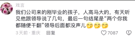 领导后面都没声儿