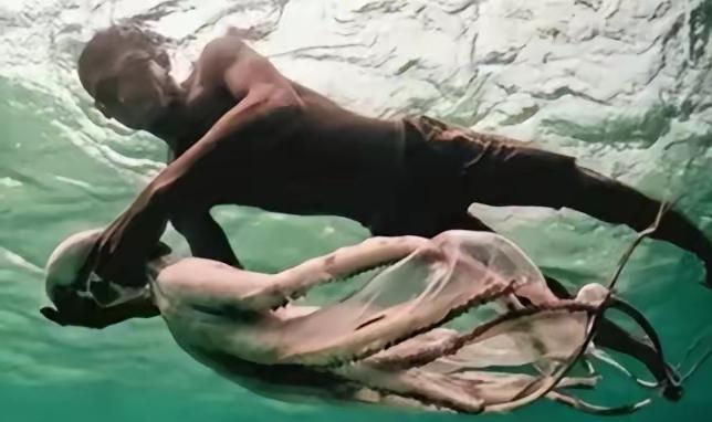 世界上唯一没有国籍的民族：一生只能待在水里，身体开始“进化”最扎心的地方，