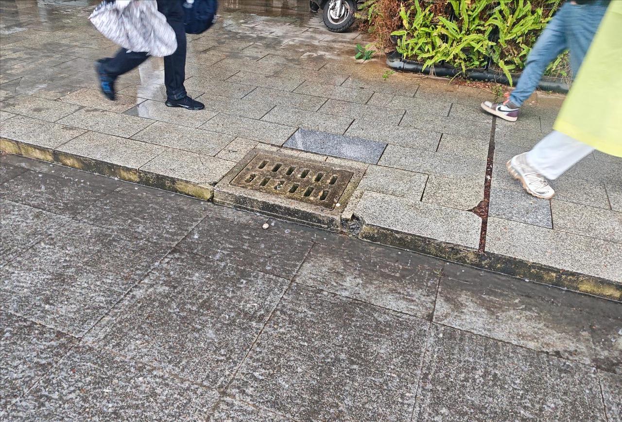 这个下水道，难道是只防暴雨，不防小雨？小雨就不用排了？有网友调侃：这叫雨水排口